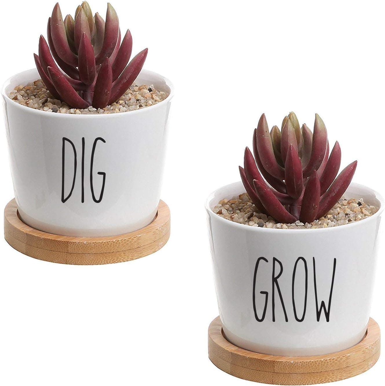 Vinyl Sticker Decal for Dishware Variety of Words to Choose from (Grow)