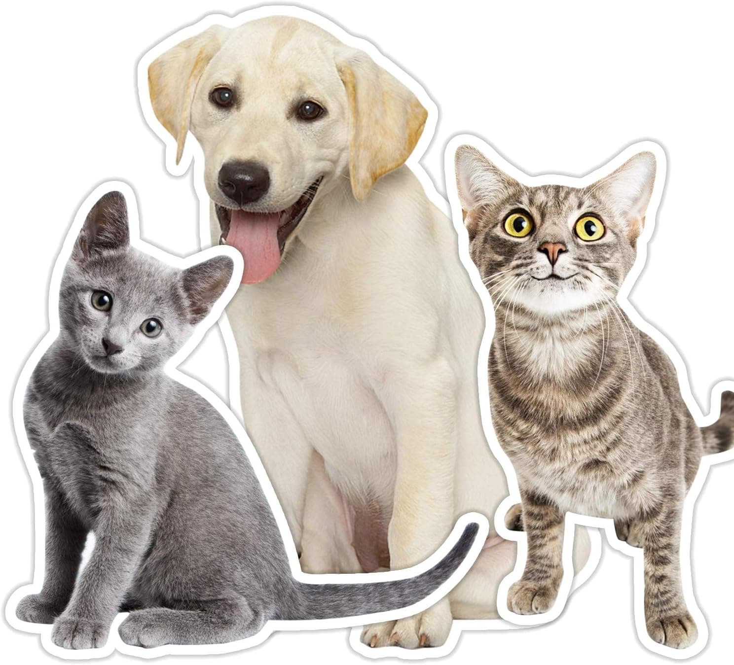 Sobeamix Custom Pet Photo Shaped Pillow Cases (Including Pillow core) Funny Personalized Throw Pillow Covers with Picture of Dogs or Cats, Customize Valentine's Day,Pillowcase,Home Decor Love Gifts