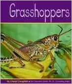 Grasshoppers (Insects)