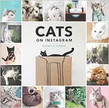 Cats on Instagram