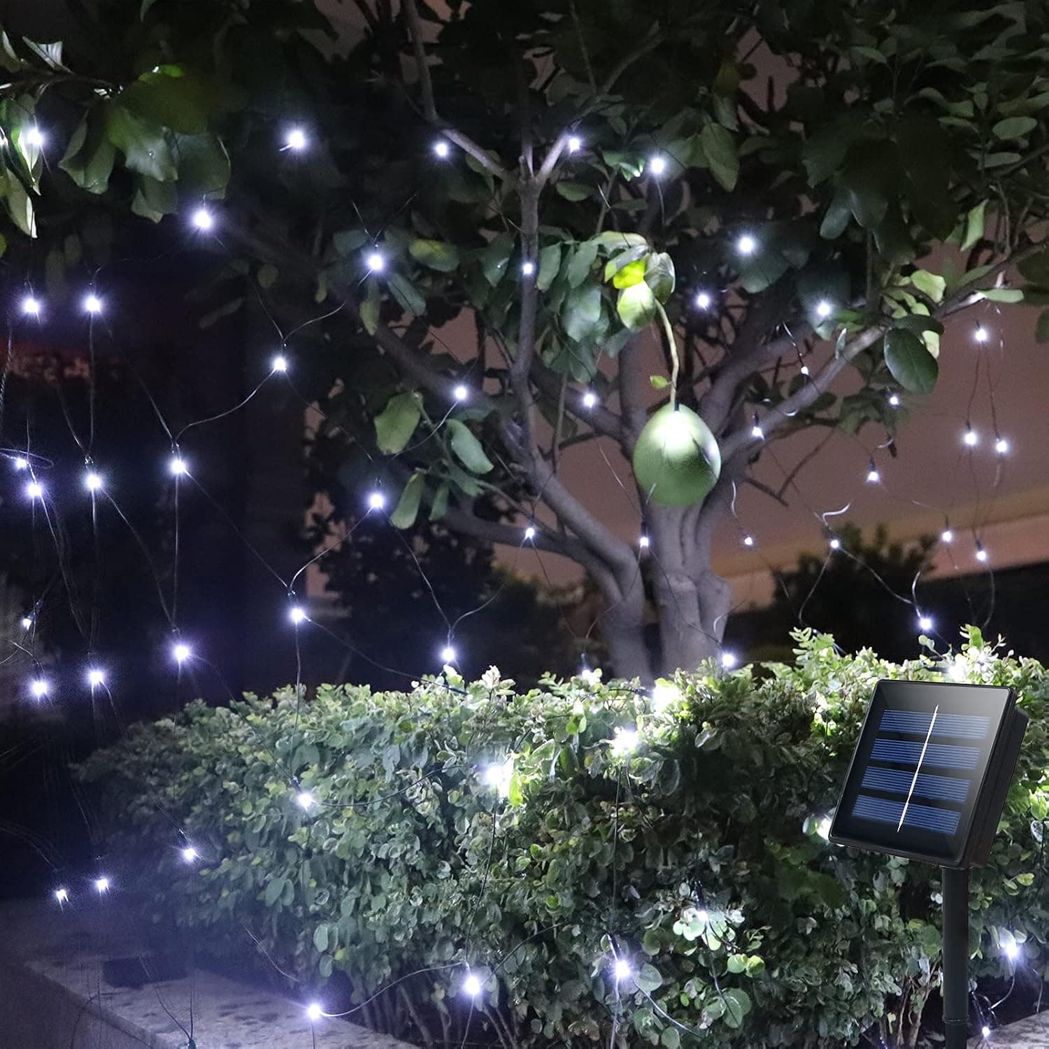 echosari Solar Outdoor Net Lights - 5Ft x 5Ft 100 LED Solar Fairy Lights, Waterproof Garden Lights, Auto On/Off Curtain String Lights, Icicle Lights for Wedding Party Yard Wall Decor (White)
