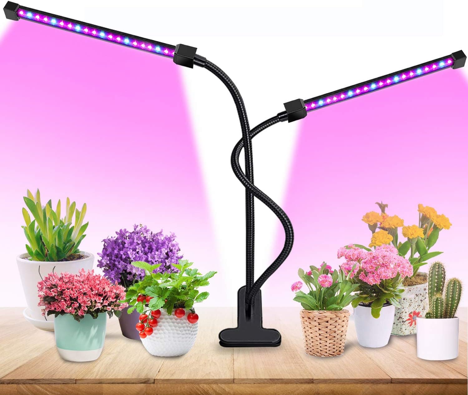 18W Plant Grow Light with Auto Turn ON/Off Function，36 LED 5 Dimmable Levels Plant Grow Lamp Bulbs for Indoor Plants with Red/Blue Spectrum, 3/6/9/12/15H Timer, 3 Switch Modes, Adjustable Gooseneck