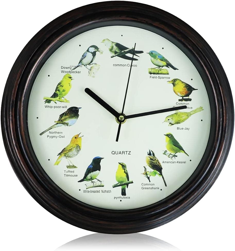 Retro Wall Clock，British Bird Song Clock，Stick on Wall Clock - 30x30x4.2 cm for Living Room Vintage，Bedroom，Kitchen，Outdoor，Garden