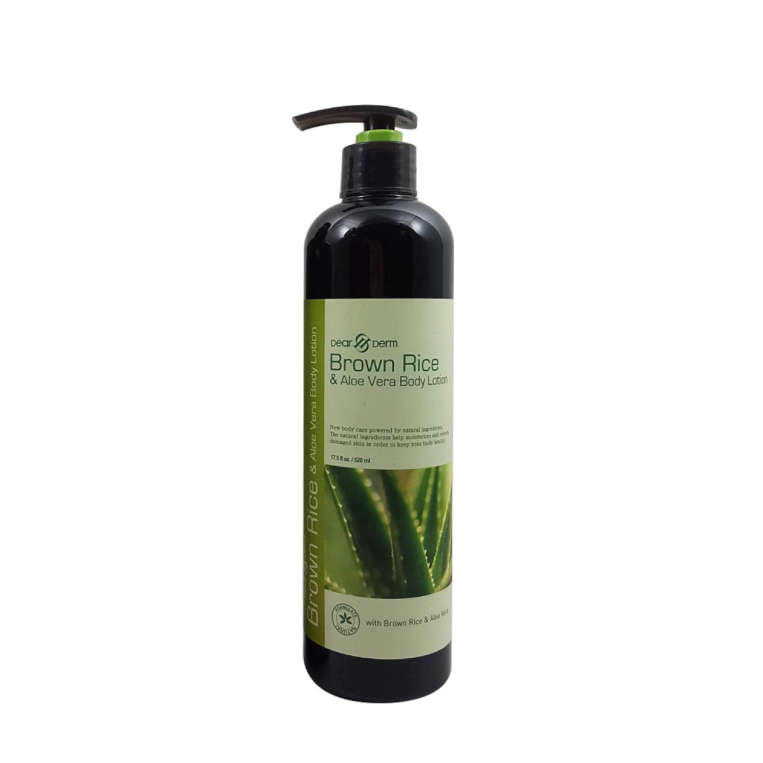 Brown Rice & Aloe Vera Body Lotion by Dear & Derm
