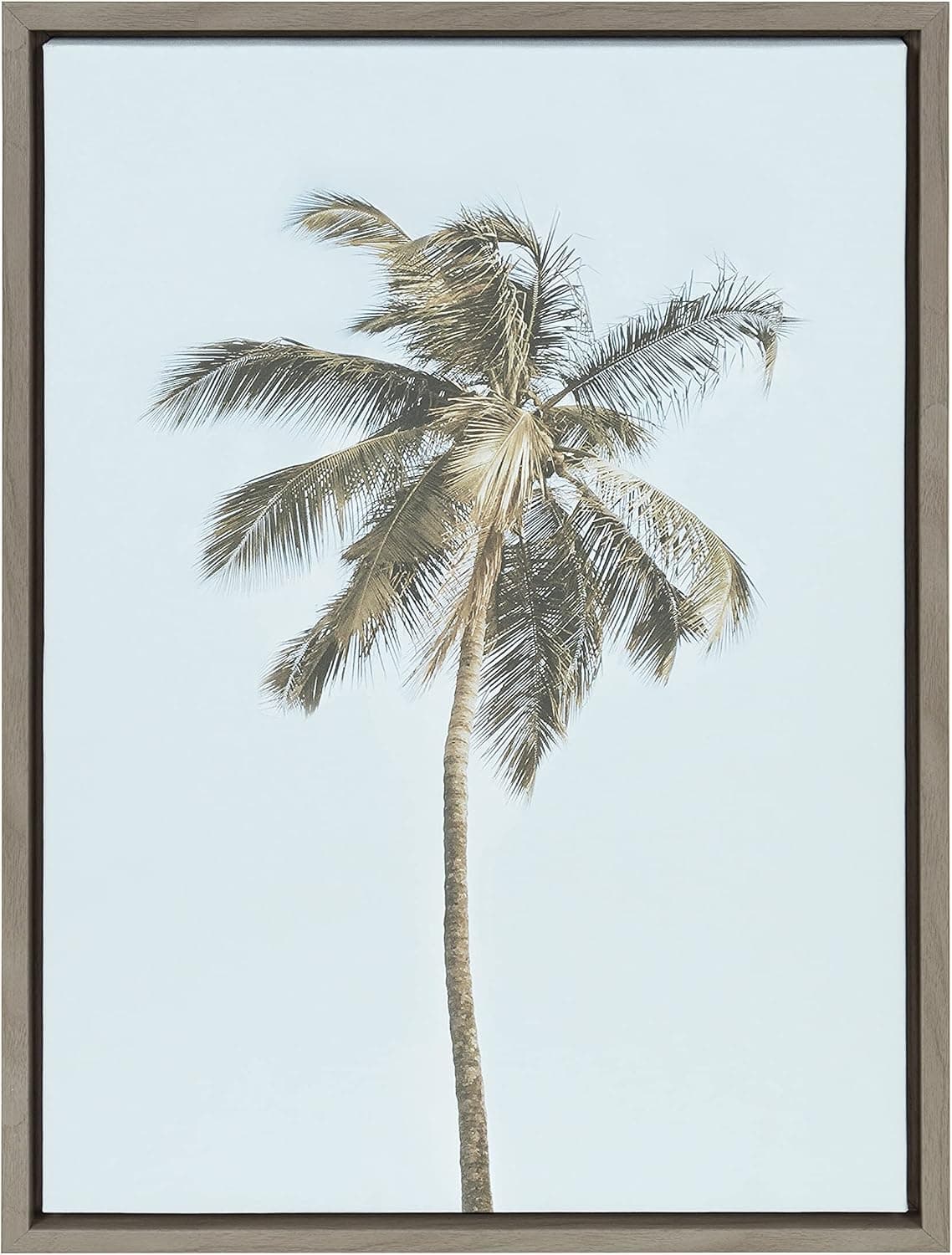 Kate and Laurel Sylvie One Coconut Palm Tree Framed Canvas Wall Art by The Creative Bunch Studio, 18x24 Gray, Coastal Beach Art for Wall