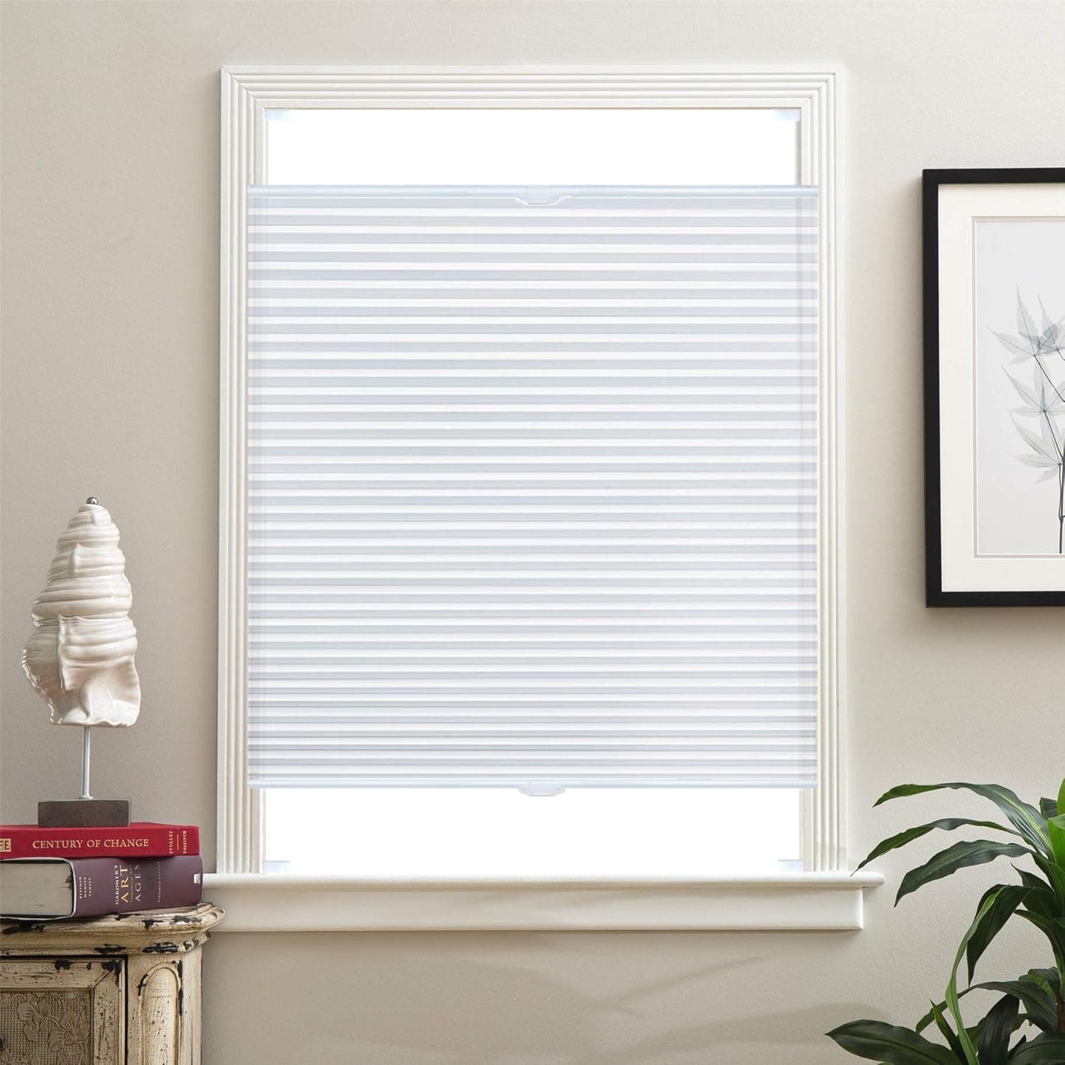 Light Filtering Shades, Top Down Bottom Up Shades, Cellular Shades, Honeycomb Blinds, Cellular Blinds, Honeycomb Shades, Top Down Bottom Up Blinds, Top Down Blinds, Top Down Shades, Up Down Blinds