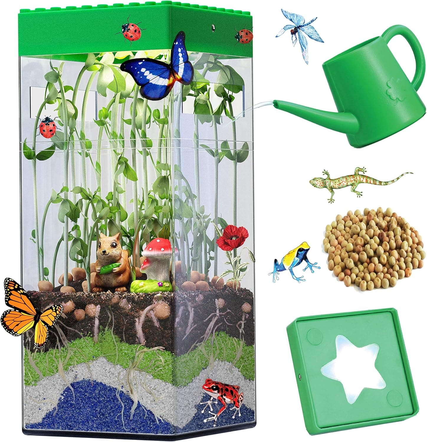 Heidi STEM Terrarium Kit for Kids and Adults Mini Vegetable Garden Microgreen Indoor Planting Kit Activities Biology Life Science Gift with LED Light