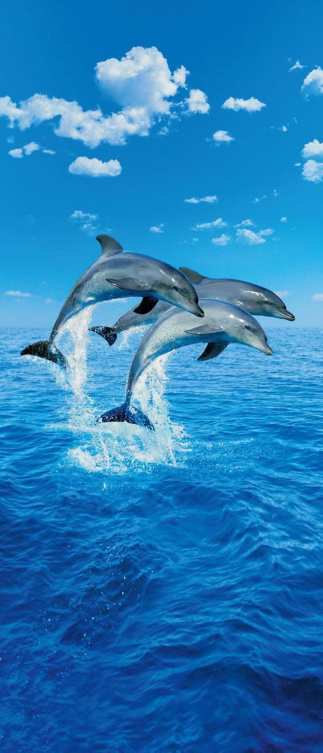 Komar DM599 Ideal Decor Three Dolphins 2-Panel Wall Mural