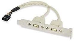 Ziotek Dual USB Connector, 10-Pin Conn.