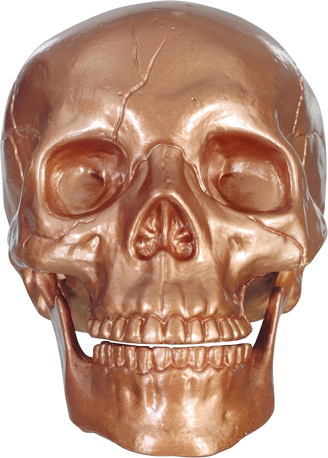 Crazy Bonez Z28059B Metallic Skeleton Skull, Copper