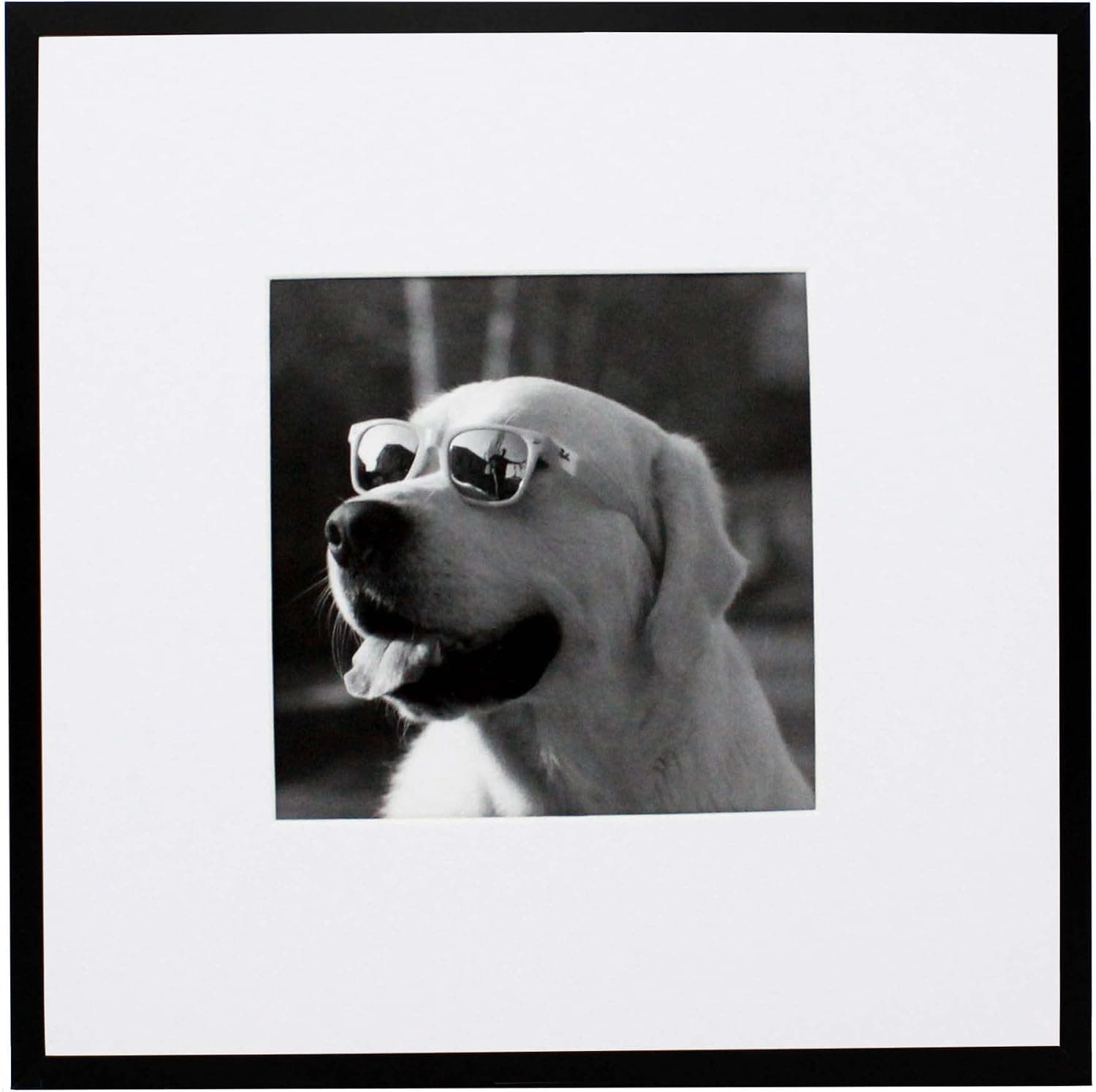 10x10 Black Brushed Aluminum Metal Picture Frame with 5x5 Mat - Includes Both Attached Hanging Hardware and Desktop Easel - Crystal Clear Plexiglass Front - Frames Display Pictures or Scrapbook Pages