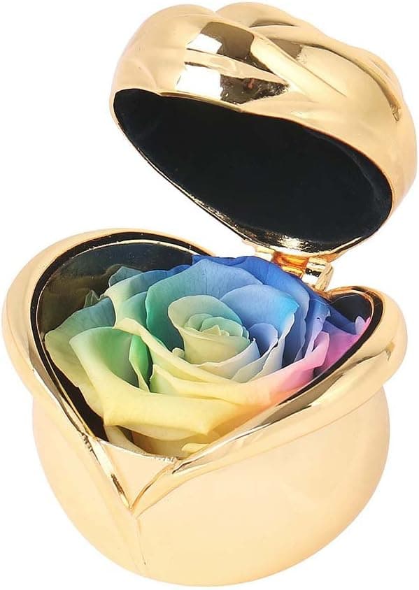 Mothers Day Flowers,Preserved Flower Rose,Never Withered Roses,Upscale Immortal Flowers,Gifts Women,Her,Girls,Sister, Mother's Day,Valentine's Day,Anniversary,Birthday,Wedding (E.Rainbow)
