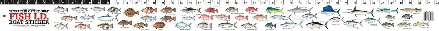 Florida Sportsman BSSFG Boat Sticker Sportfish Of The Gulf