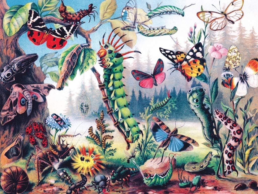 New York Puzzle Company - Vintage Images Metamorphosis - 500 Piece Jigsaw Puzzle