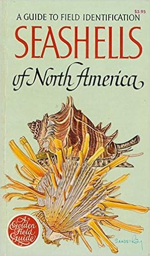 A Guide to Field Identification Seashells of North America