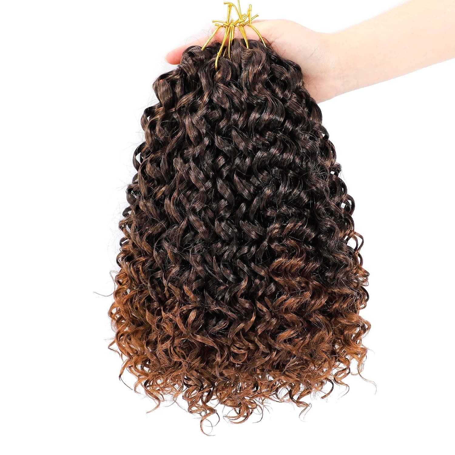 Dansama GoGo Curl Crochet Braids Beach Curl Water Wave Crochet Synthetic Hair Extensions (12 inch (Pack of 6), T1B/30)