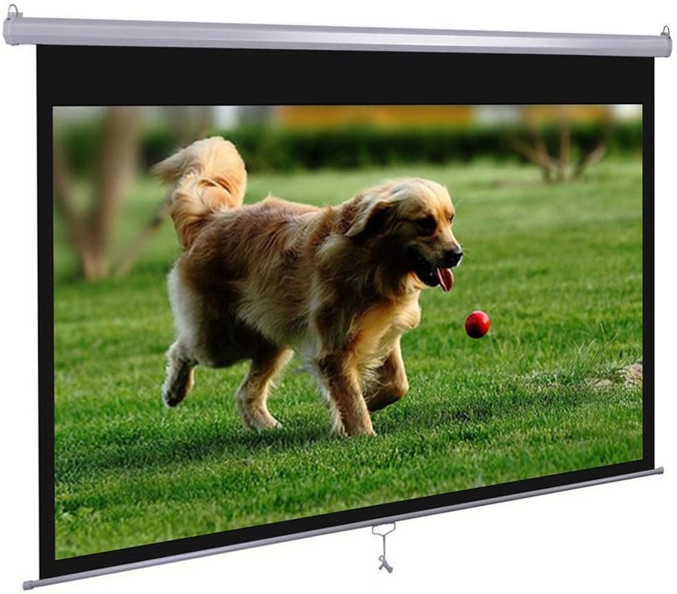 Dansung Manual Pull Down Projector Screen 72" 4:3 HD Projection Screen for Indoor Home Theater Business Office TV Presentation Movie Screen with Durable Wrinkle-Free Retrack and Stop Feature