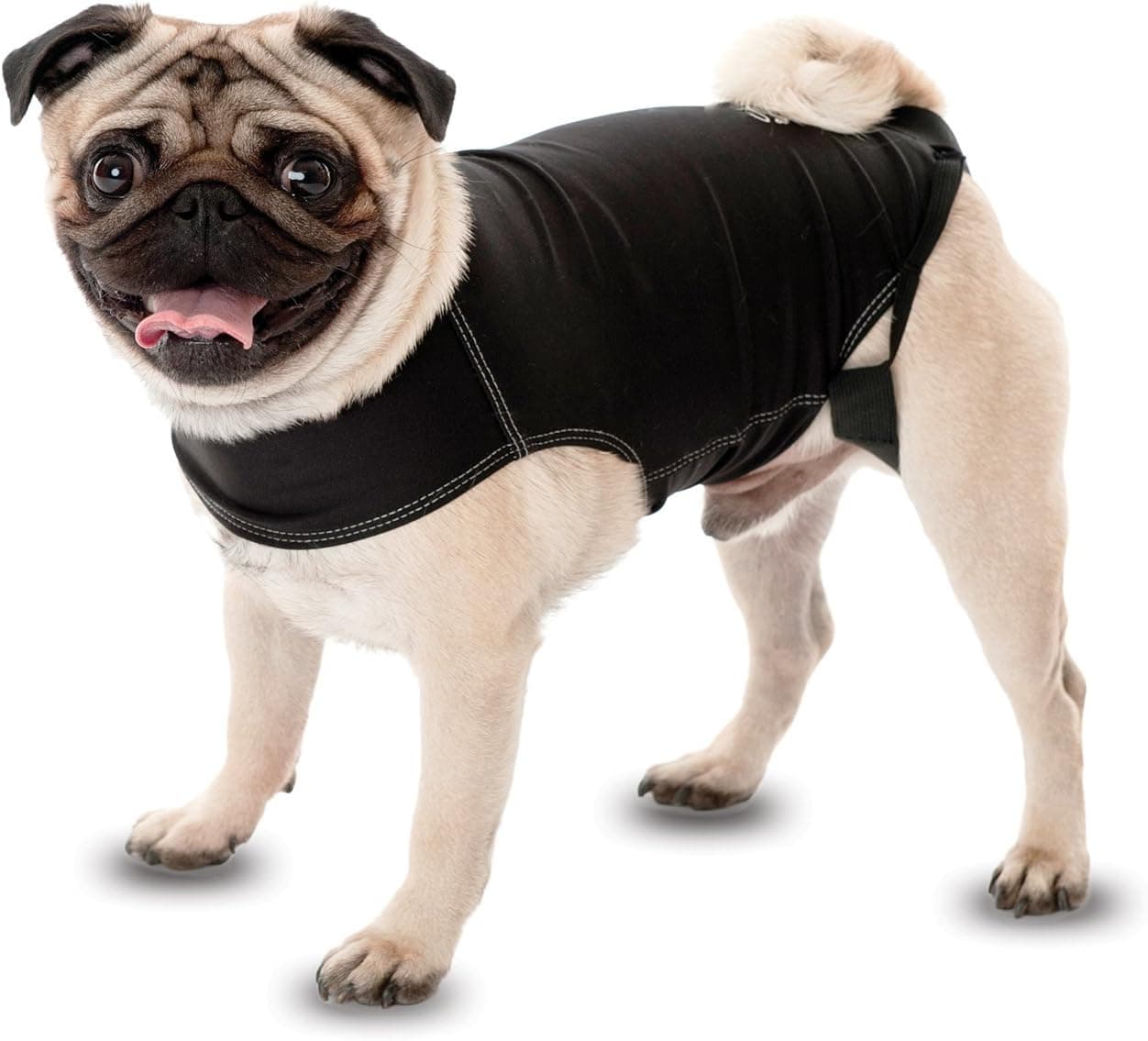 Company of Animals Anxiety Wrap, Black, XX Small