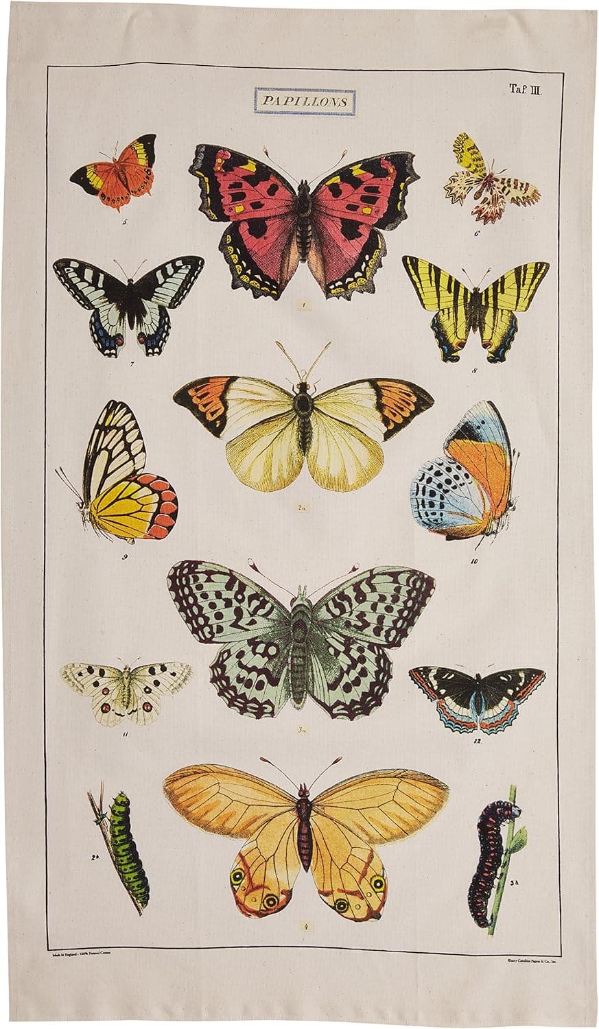 Cavallini Papers Vintage Butterflies Cotton Tea Towel