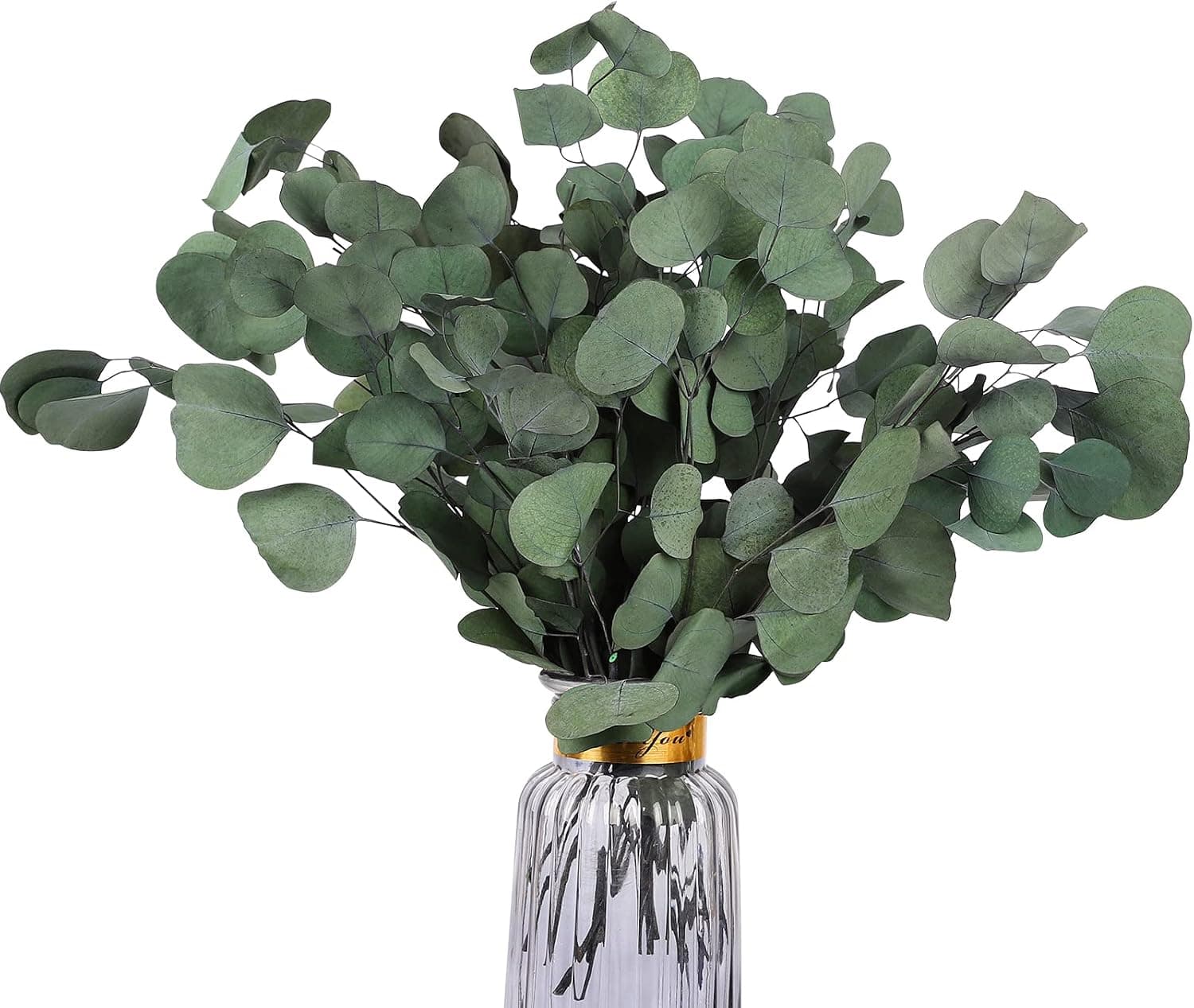 Real Eucalyptus Stems: 20PCS 15-18" Dried Eucalyptus Leaves - Real Eucalyptus Leaves for Shower - Spring Decor for Aromatherapy Wedding Home Party Christmas Decor Air Purification