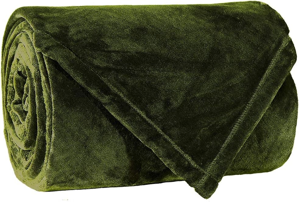 LBRO2M Fleece Bed Blanket Throw Size Super Soft Warm Fuzzy Velvet Plush Throw Lightweight Cozy Couch Blankets,(60x44 Inch) Green