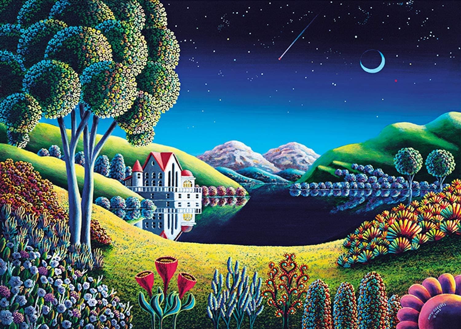 Jigsaw Puzzles 1000 Piece for Adults - Lal Gece