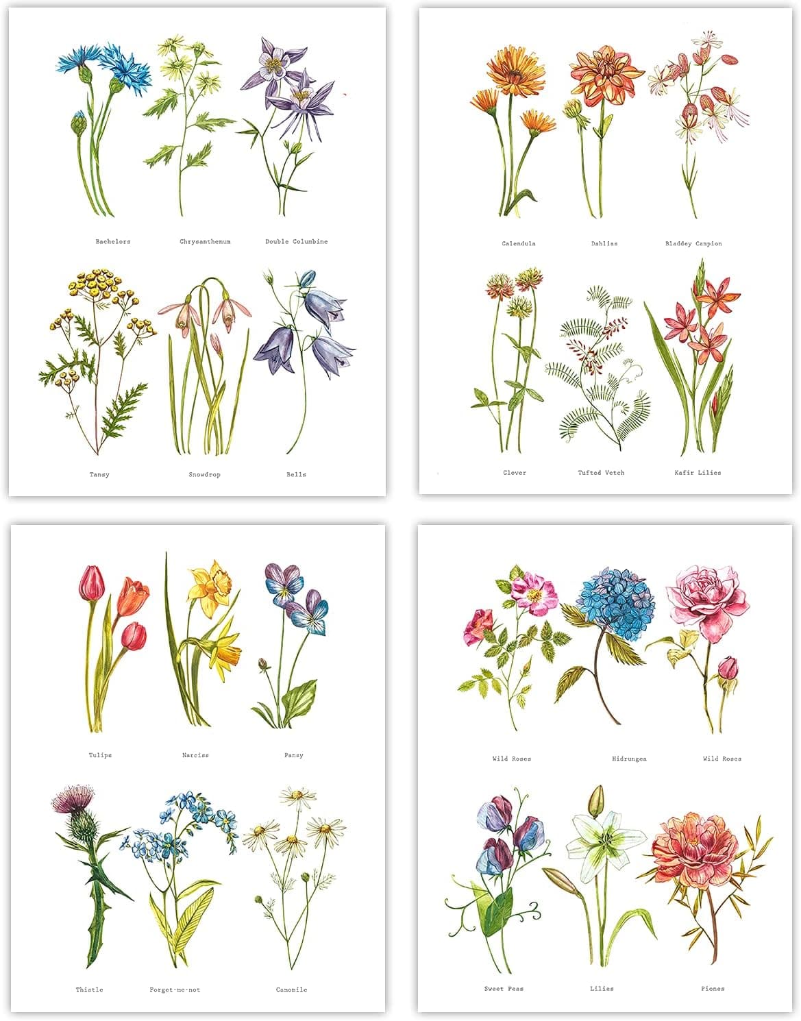 Wildflower Floral Wall Art Prints - Flower Botanical Prints Wall Art - Vintage Poster Room Decor - Watercolor Floral Wall Decor For Bathrooom or Vintage Room Aesthetic - Set of 4 (8x10) - Succulent Flower Posters Decor