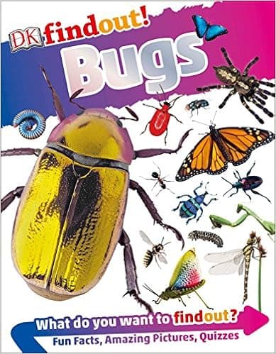 DKfindout! Bugs
