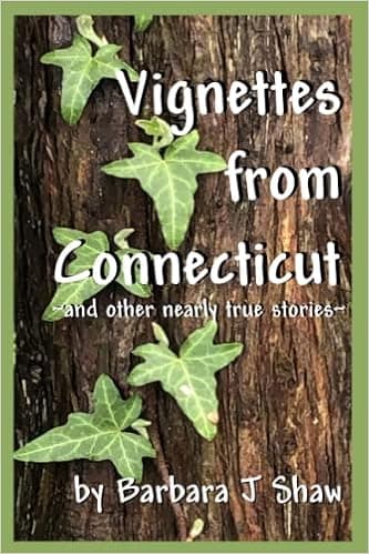 Vignettes from Connecticut: ~and other nearly true stories~