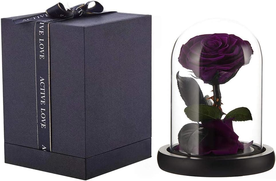 puto Preserved Real Rose Eternal Rose in Glass Dome Gift for Her Thanksgiving Christmas Valentine's Day Birthday Mother's Day (Purple, Small)