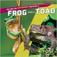 Tell Me the Difference Between a Frog and a Toad (How Are They Different?)