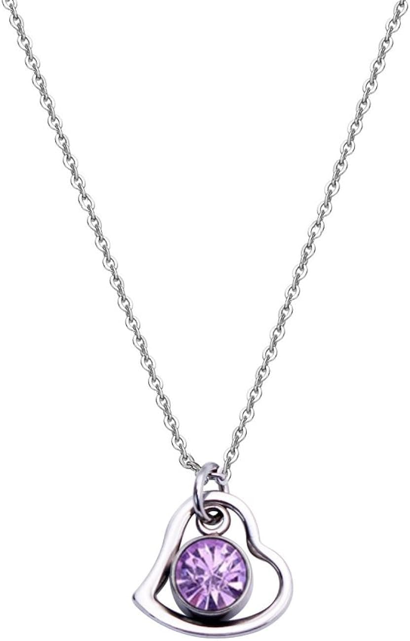 DYbaby Lovely Birthday Gift-Tiny Heart Circle and Birthstone Necklace Stainless Steel Heart and Crystal Pendants Necklace for Her