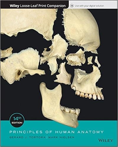 Principles of Human Anatomy