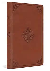 ESV Thinline Bible (TruTone, Terracotta, Ornament Design)