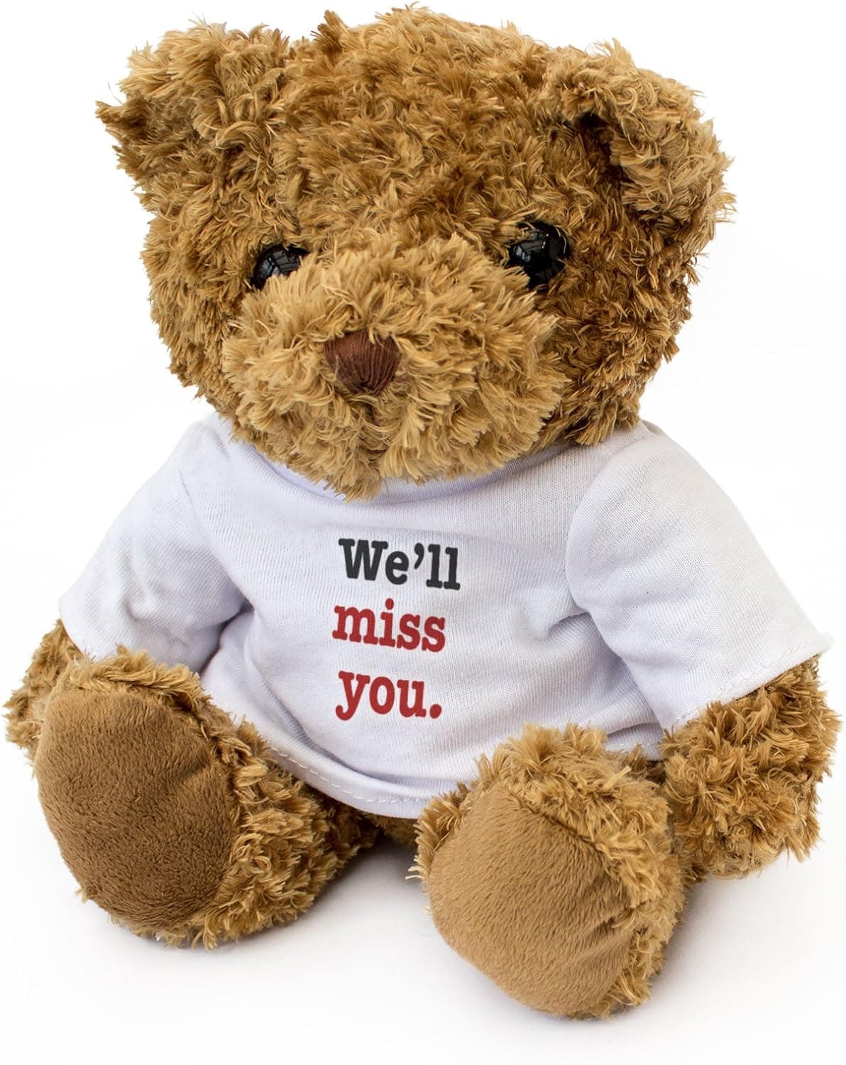 New - We'll Miss You - Teddy Bear - Cute Soft Cuddly - Leaving Gift Present