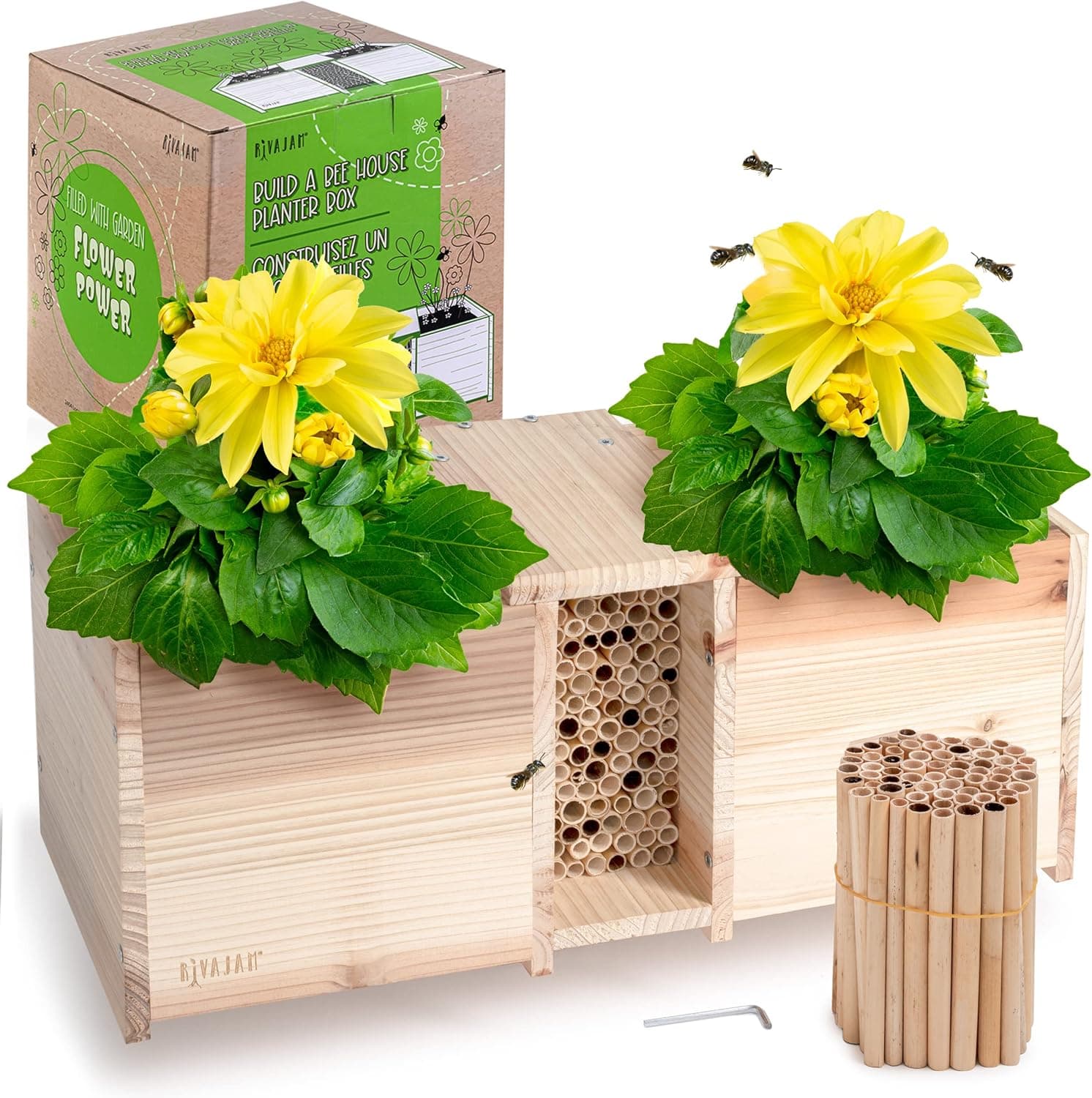 Rivajam Build a Bee House Planter Box Plant Kit for Kids | Gardening for Kids Woodworking Project Kits | DIY Mason Bee House Wood Crafts for Kids to Build | Bee Crafts for Kids Garden Kit