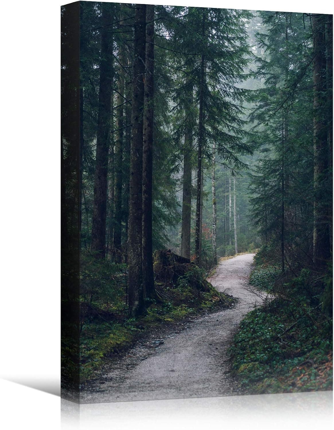 SIGNWIN Canvas Wall Art Green Forest Dramatic Forest Landscape Living Room Multicolor Photography Rustic - 16x24 inches