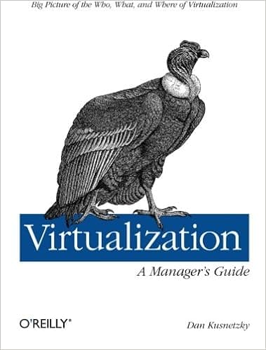 Virtualization: A Manager's Guide: Big Picture of the Who, What, and Where of Virtualization