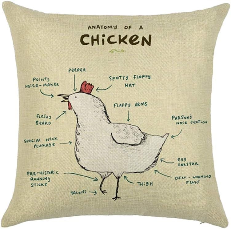 Xhonp Animal Anatomy Sketch Pillowcase Throw Pillow Cover for Home Decor Car Cushion 18 x 18 Inch (Chicken)