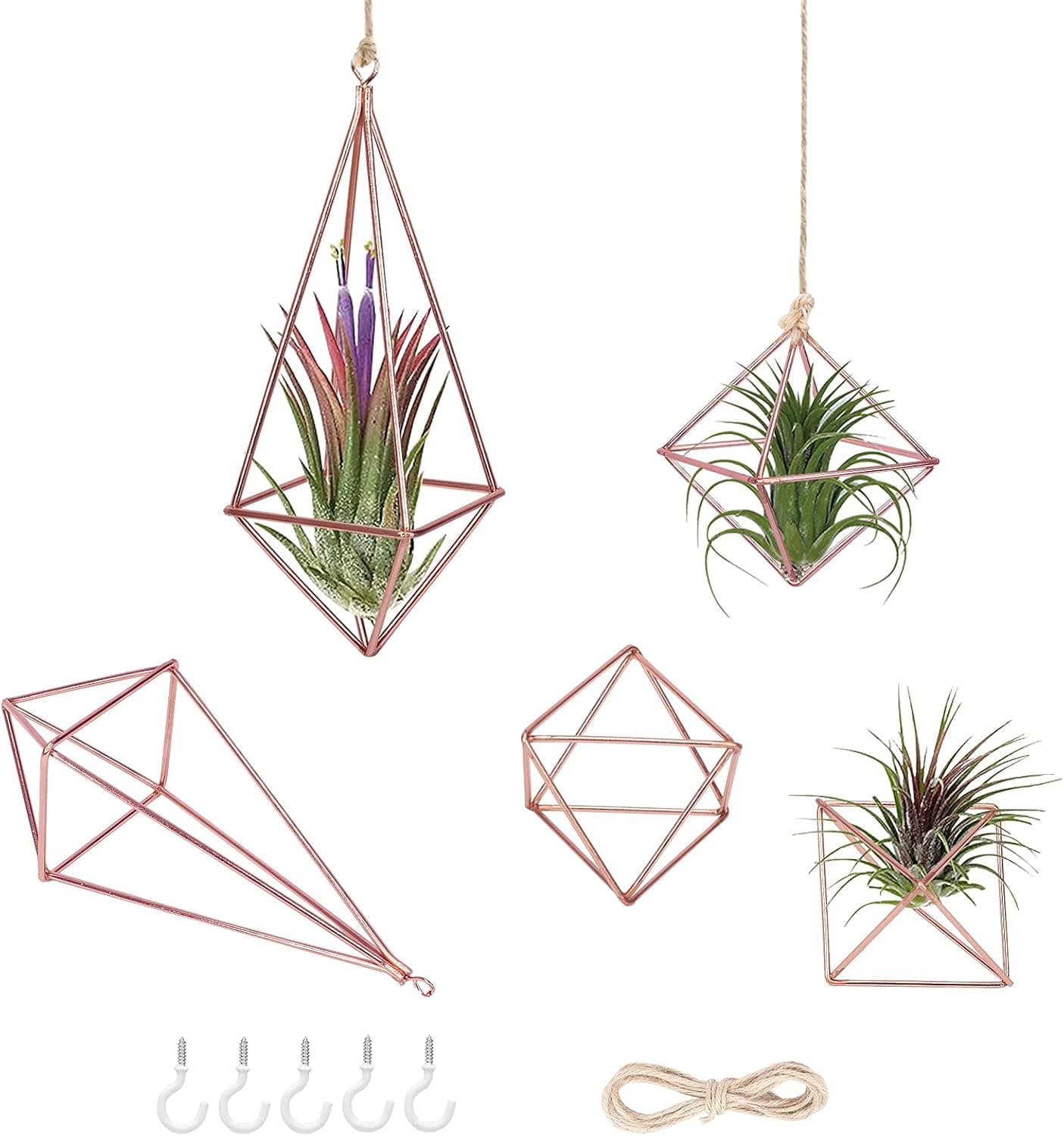 5 Packs Air Plant Holder Modern Geometric Planters for Air Plants, 2Pcs Tillandsia Hanger 3 Pcs Mini Air Fern Display Rack, Metal Himmeli Decor with Rope & 5 Hooks for Home Office Gift Idea, Rose Gold