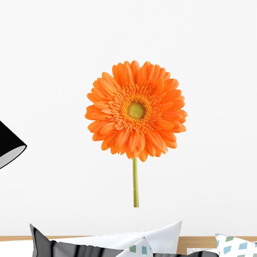 Wallmonkeys Orange Flower Wall Decal Peel and Stick Floral Graphic (18 in H x 12 in W) WM60065