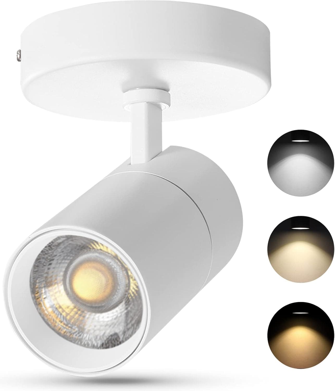 VANoopee 12W Low Voltage Landscape Lights 12V Outdoor Landscape Lighting LED Spot Lights Outdoor Waterproof with Stake Uplight Tree Yard Flag Garden Patio Warm White 1000lm(10 Pack with Connectors)